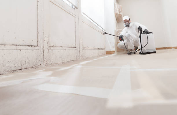 24/7 Emergency Attic Mold Removal experts in Hudgins, VA